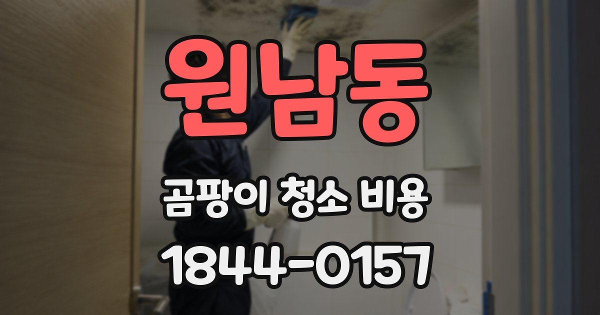 원남동 곰팡이 청소 비용