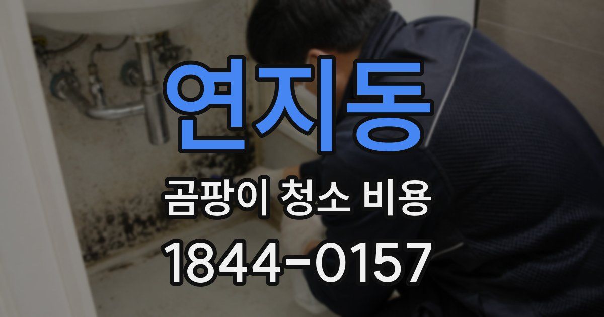 연지동 곰팡이 청소 비용