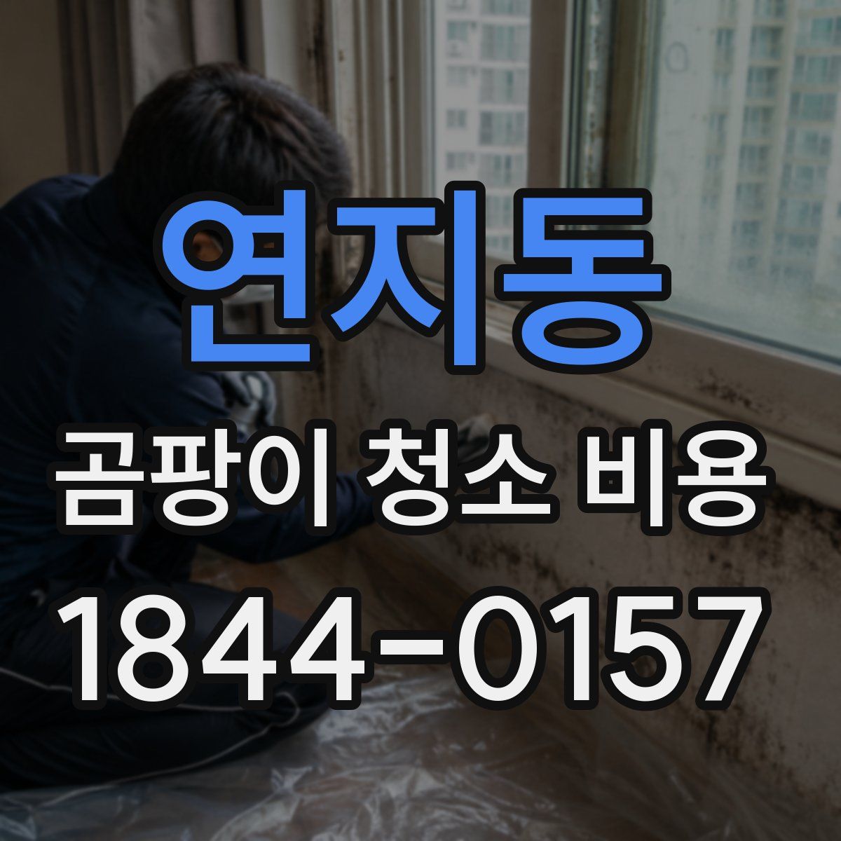 연지동 곰팡이 청소 비용