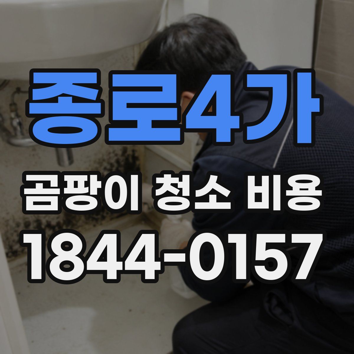 종로4가 곰팡이 청소 비용
