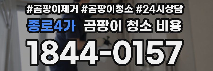 종로4가 곰팡이 청소 비용