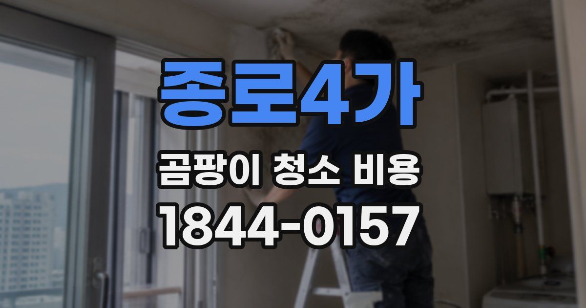 종로4가 곰팡이 청소 비용