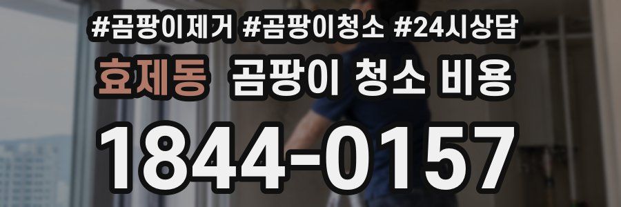 효제동 곰팡이 청소 비용
