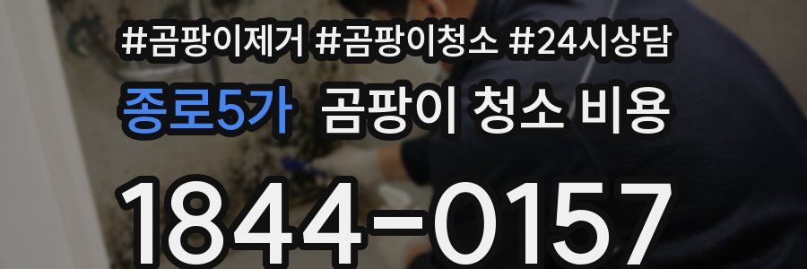 종로5가 곰팡이 청소 비용