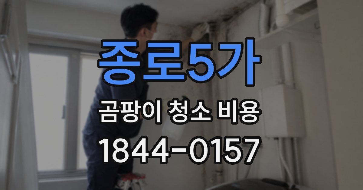 종로5가 곰팡이 청소 비용