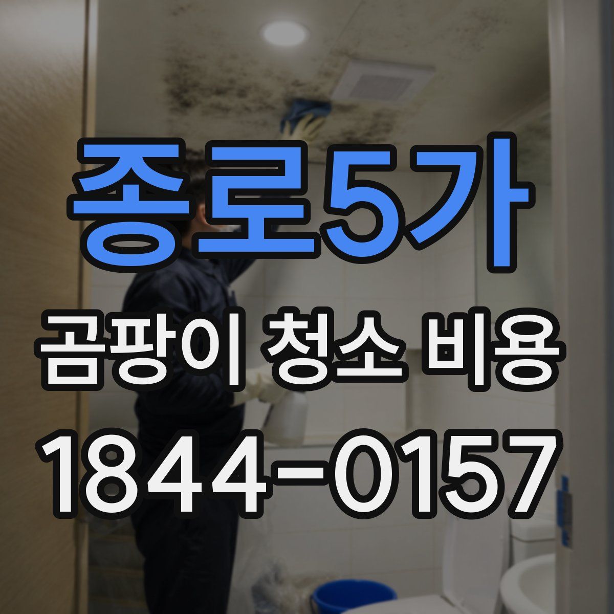 종로5가 곰팡이 청소 비용