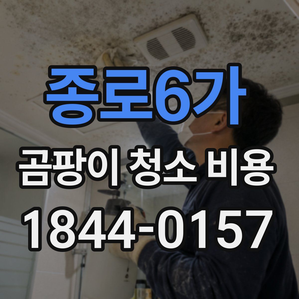 종로6가 곰팡이 청소 비용