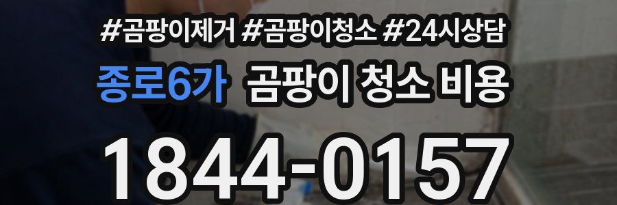 종로6가 곰팡이 청소 비용
