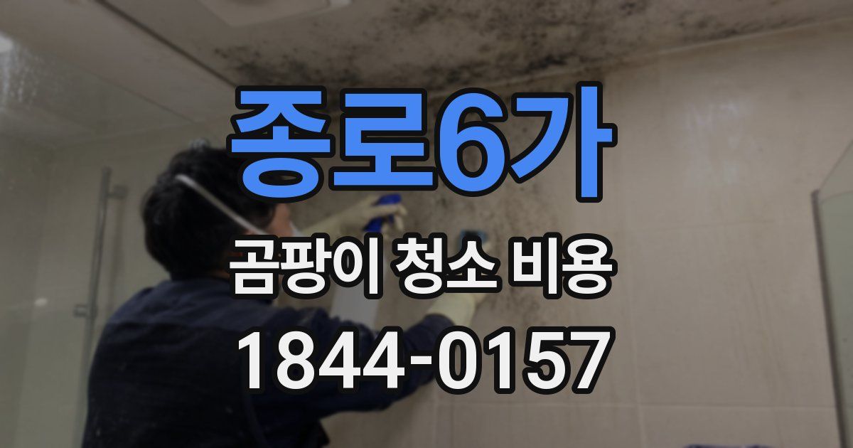 종로6가 곰팡이 청소 비용