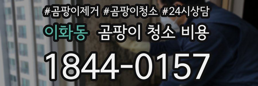 이화동 곰팡이 청소 비용