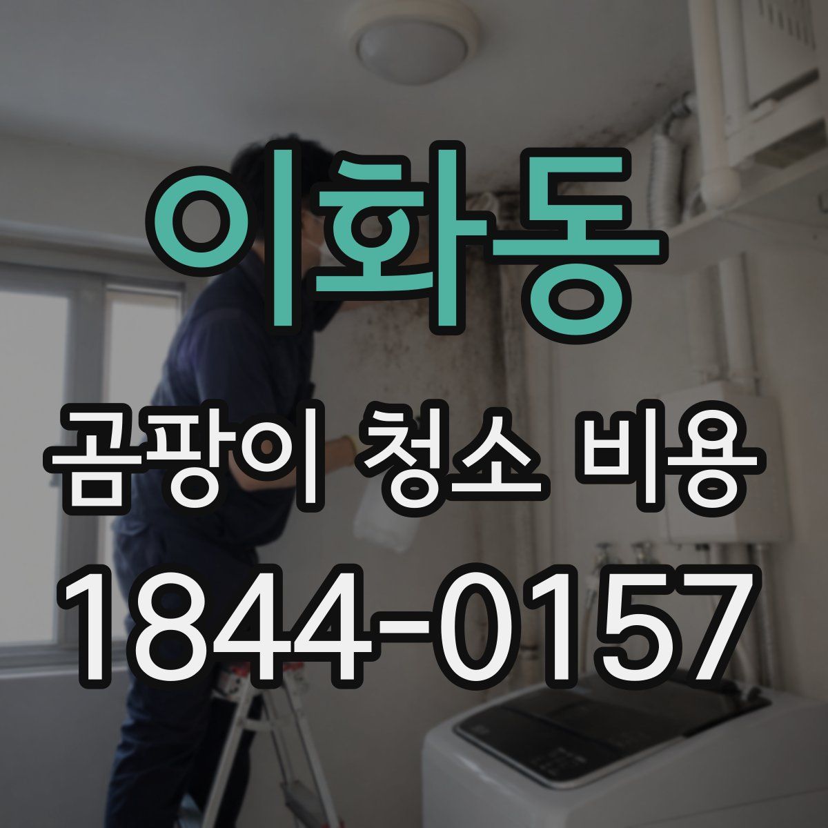 이화동 곰팡이 청소 비용