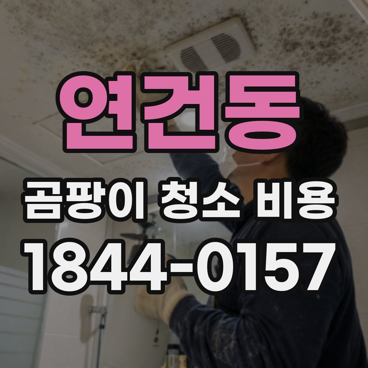 연건동 곰팡이 청소 비용