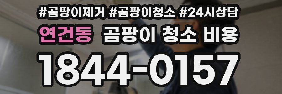 연건동 곰팡이 청소 비용