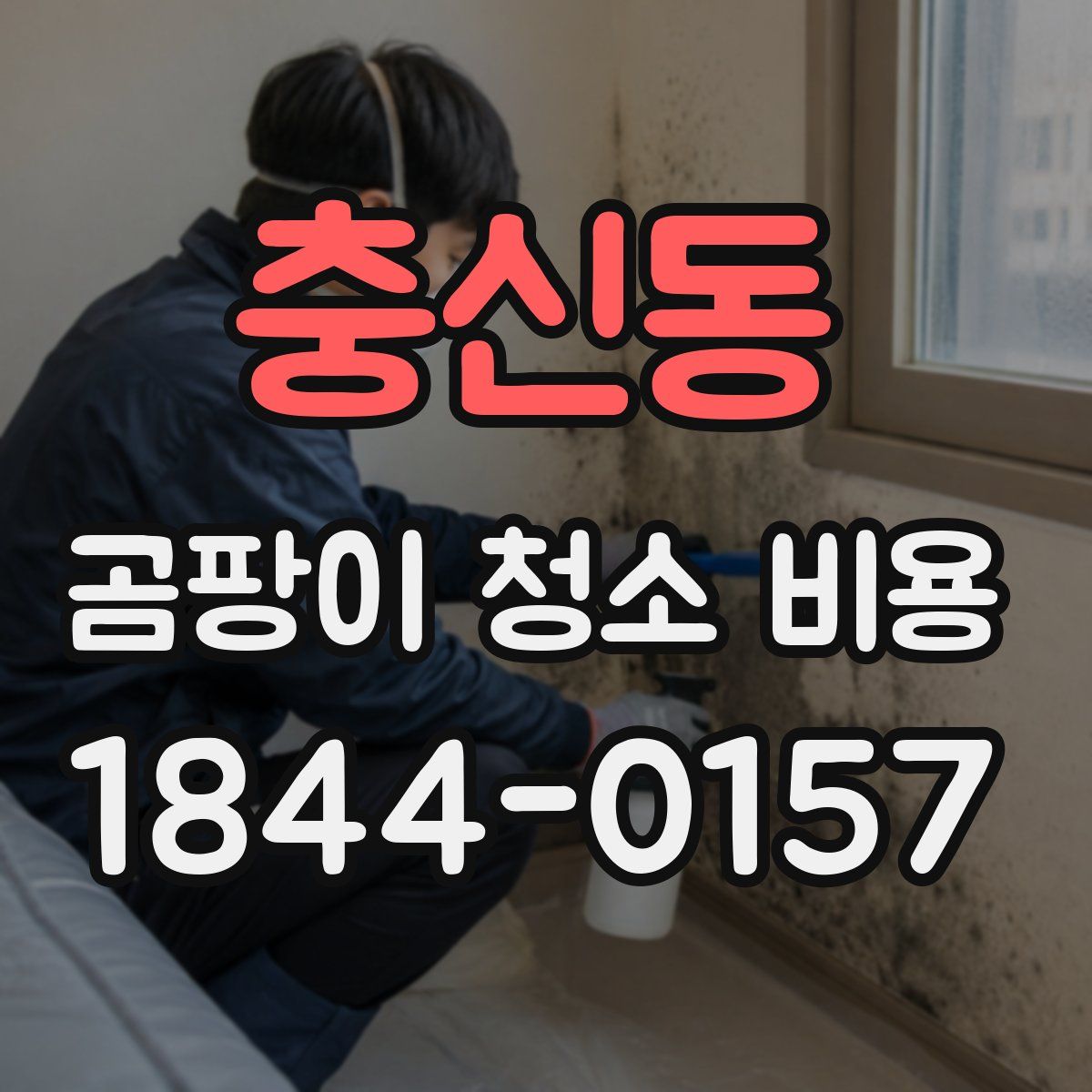 충신동 곰팡이 청소 비용