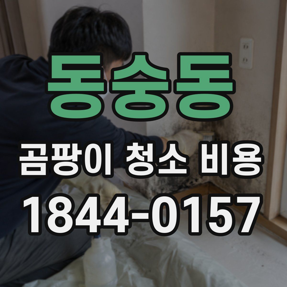 동숭동 곰팡이 청소 비용