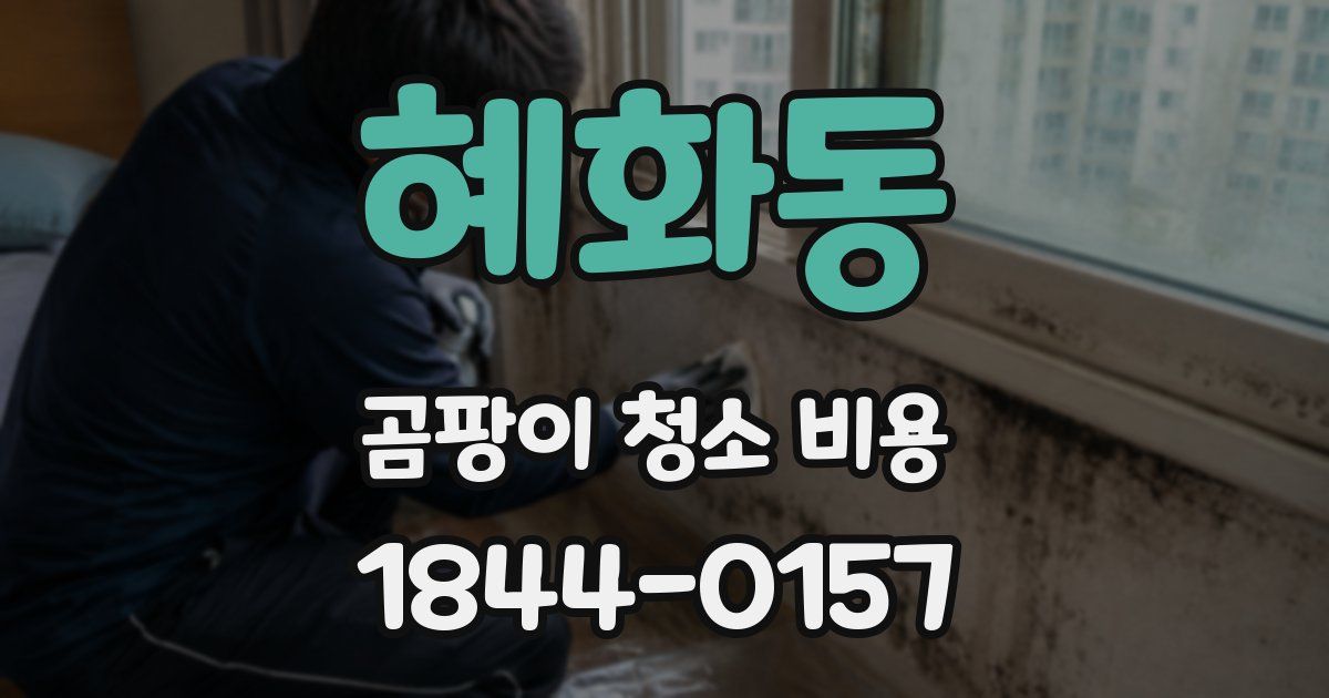 혜화동 곰팡이 청소 비용