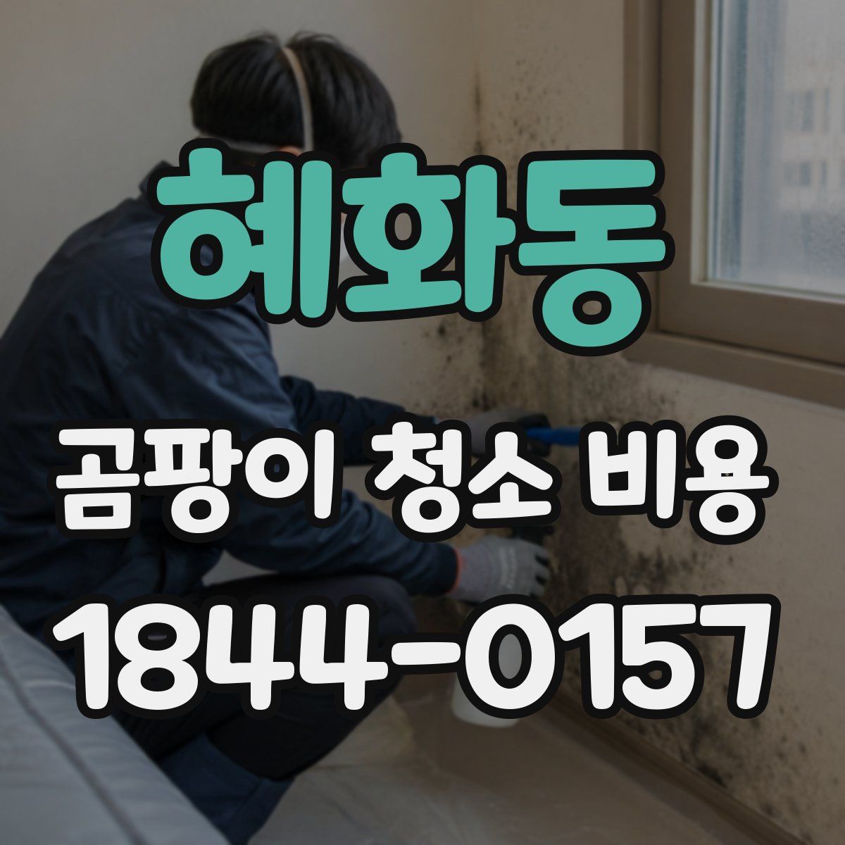 혜화동 곰팡이 청소 비용