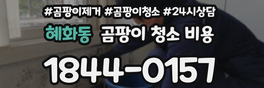 혜화동 곰팡이 청소 비용