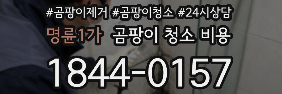 명륜1가 곰팡이 청소 비용