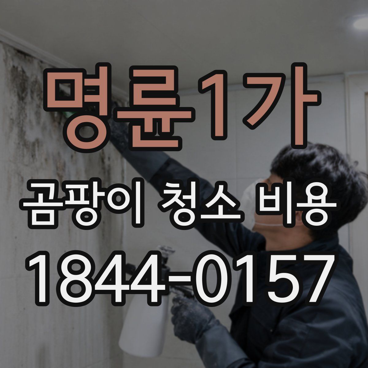 명륜1가 곰팡이 청소 비용