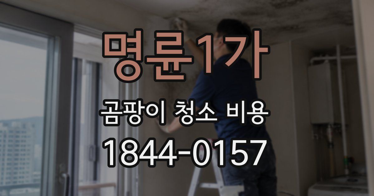명륜1가 곰팡이 청소 비용
