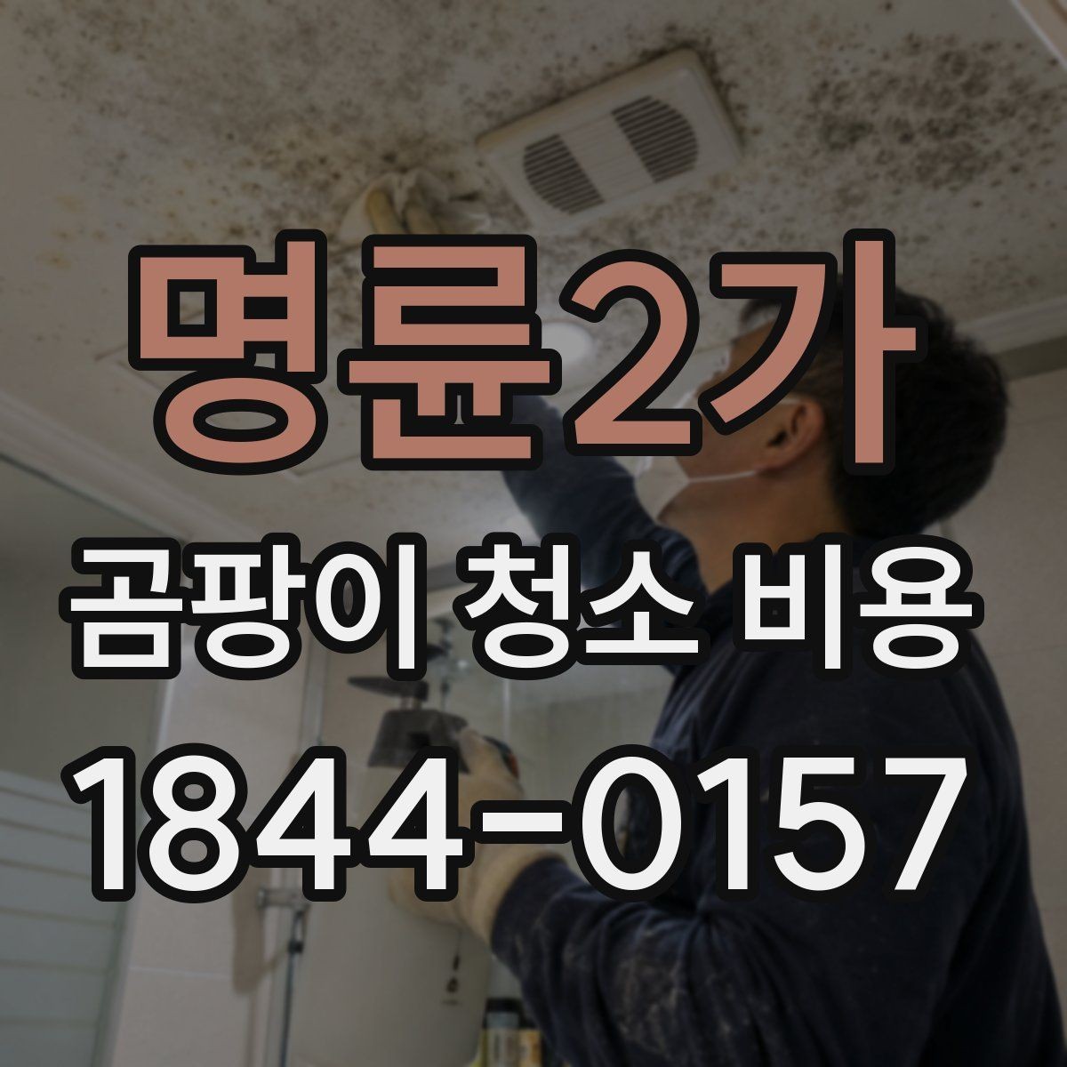 명륜2가 곰팡이 청소 비용 가구와 벽면이 맞닿은 자리 처리 범위