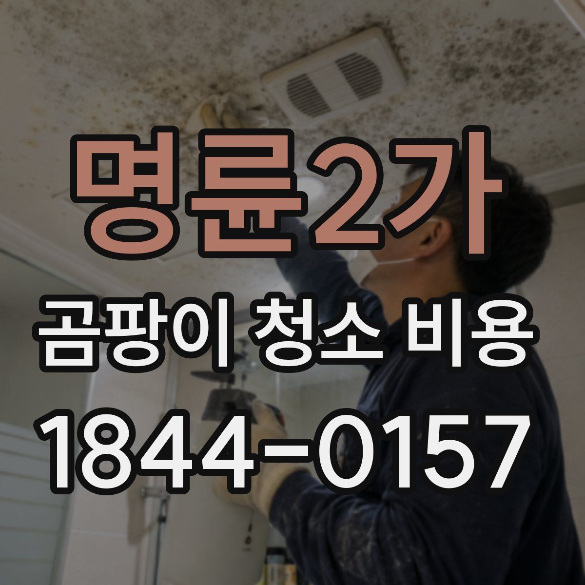 명륜2가 곰팡이 청소 비용