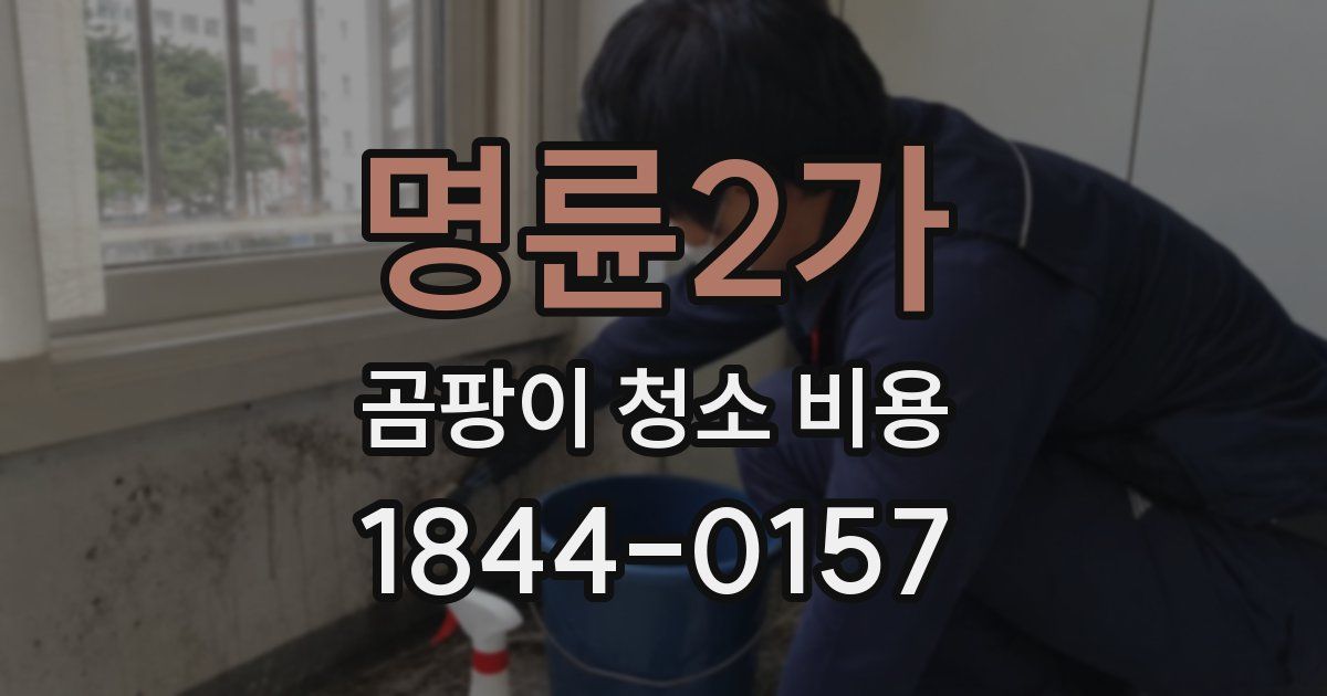 명륜2가 곰팡이 청소 비용