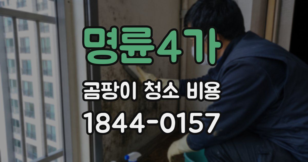 명륜4가 곰팡이 청소 비용