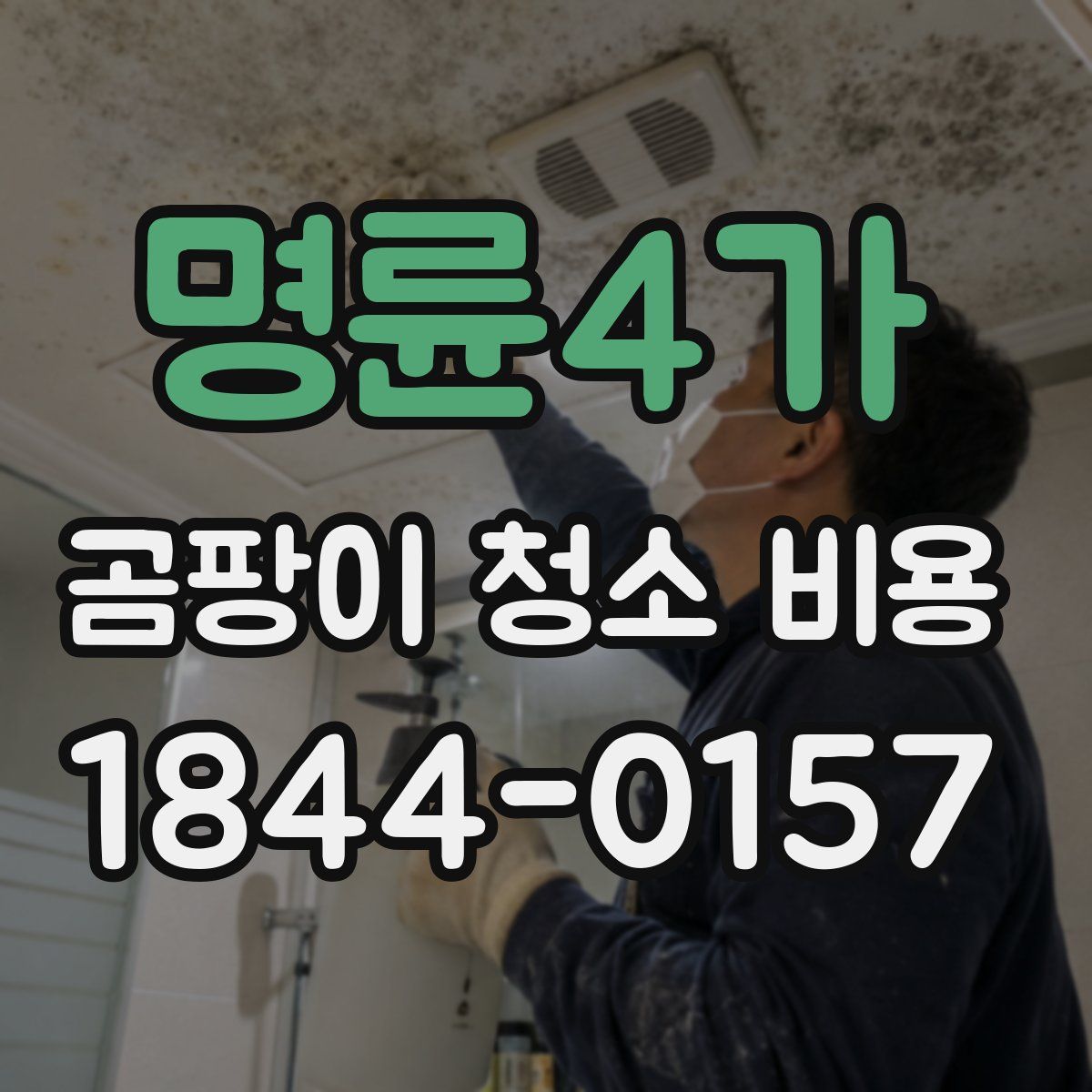 명륜4가 곰팡이 청소 비용