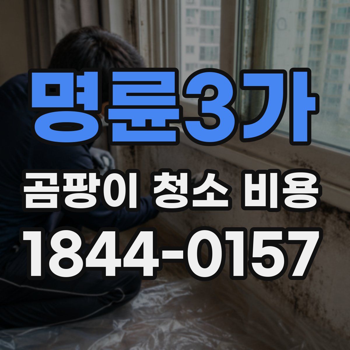 명륜3가 곰팡이 청소 비용