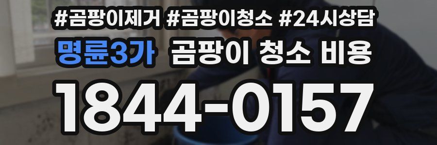 명륜3가 곰팡이 청소 비용
