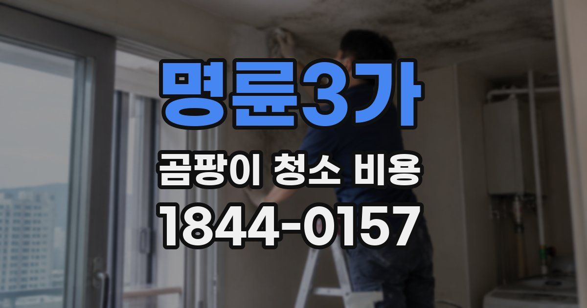 명륜3가 곰팡이 청소 비용