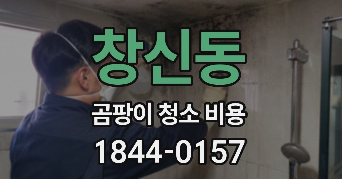 창신동 곰팡이 청소 비용