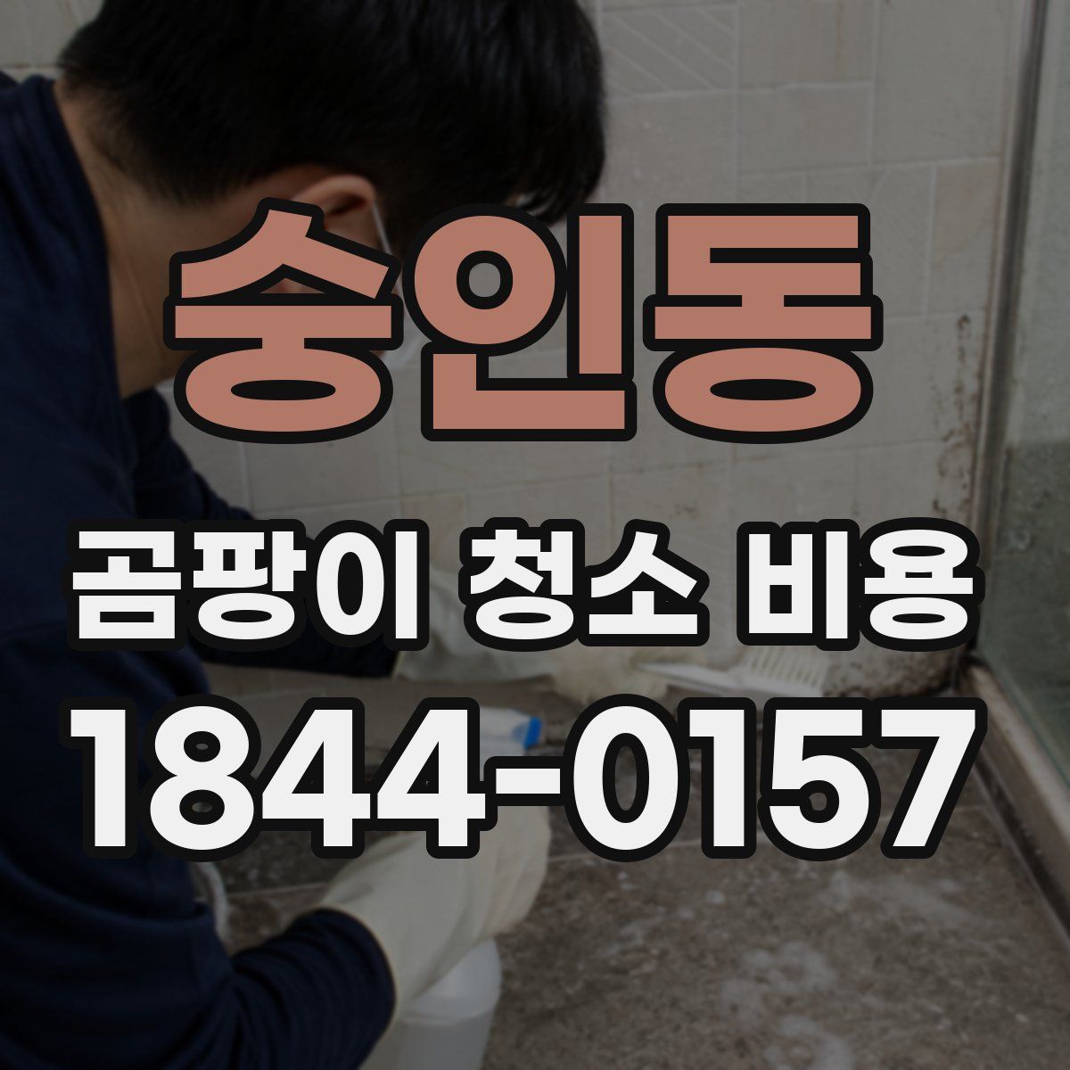 숭인동 곰팡이 청소 비용