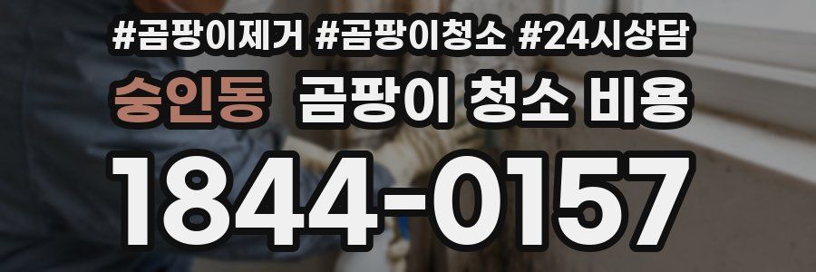 숭인동 곰팡이 청소 비용