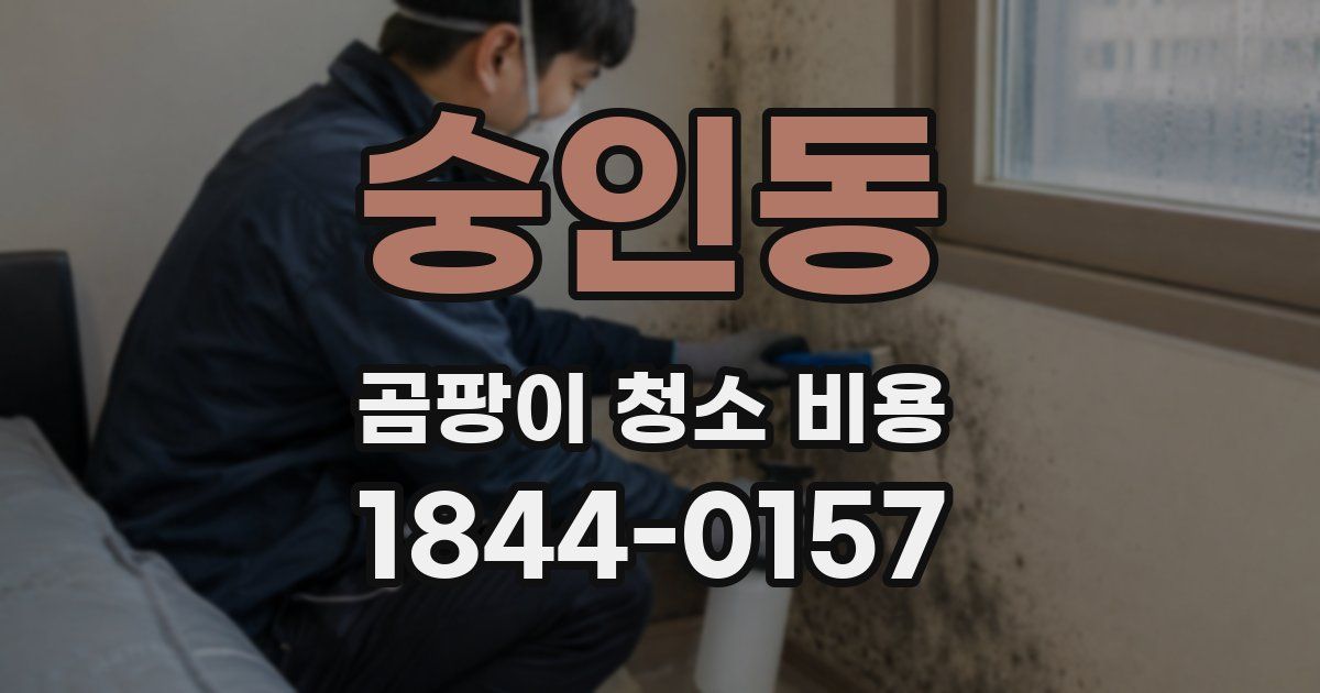 숭인동 곰팡이 청소 비용