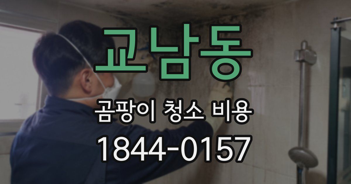 교남동 곰팡이 청소 비용