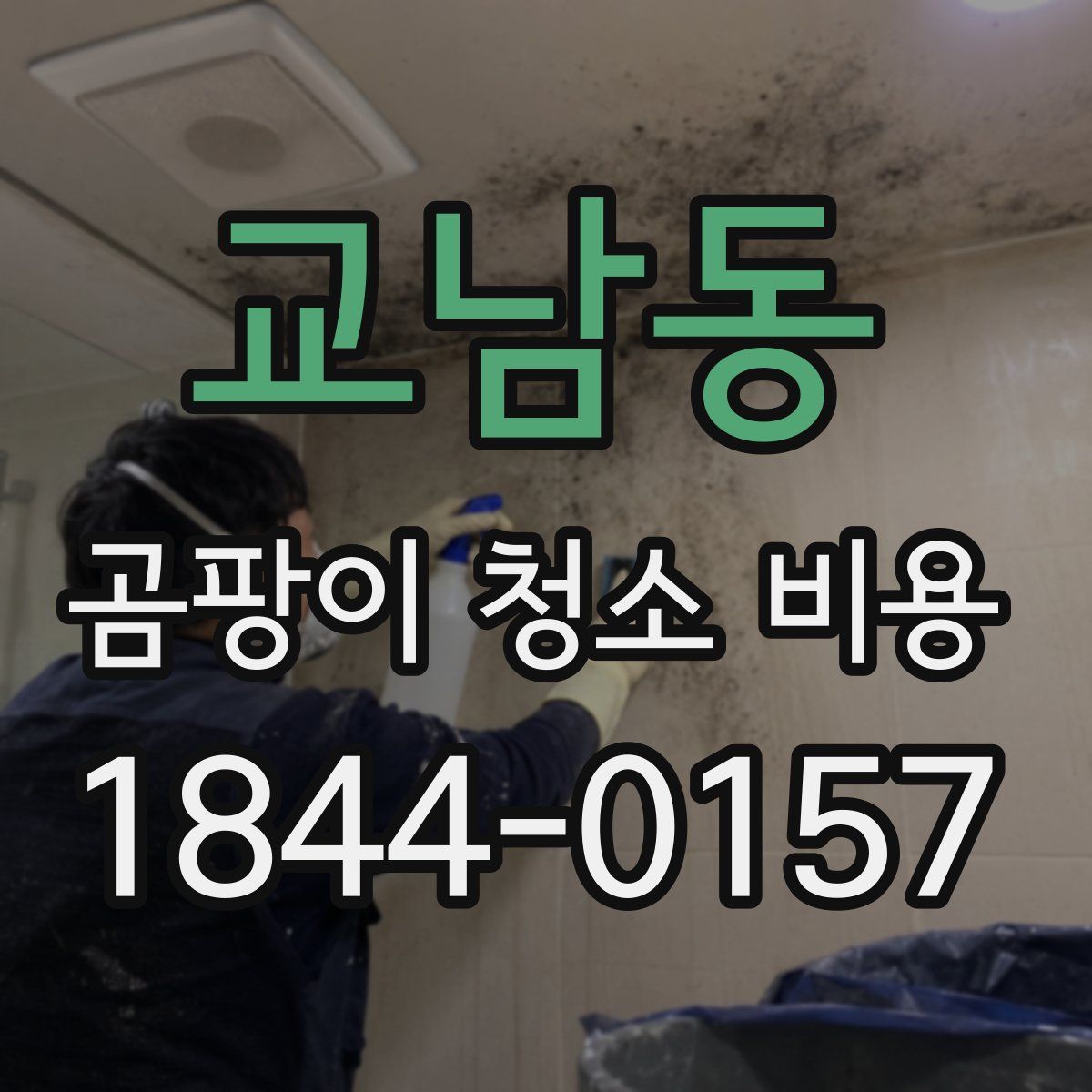 교남동 곰팡이 청소 비용