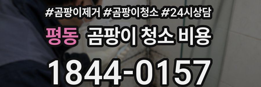 평동 곰팡이 청소 비용