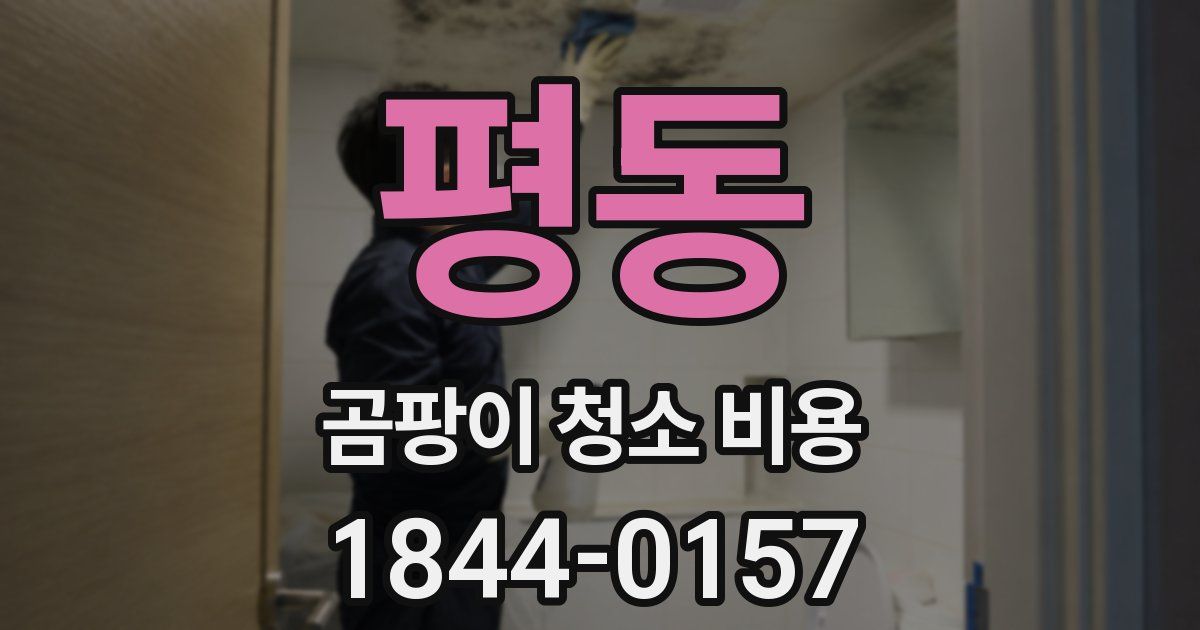 평동 곰팡이 청소 비용