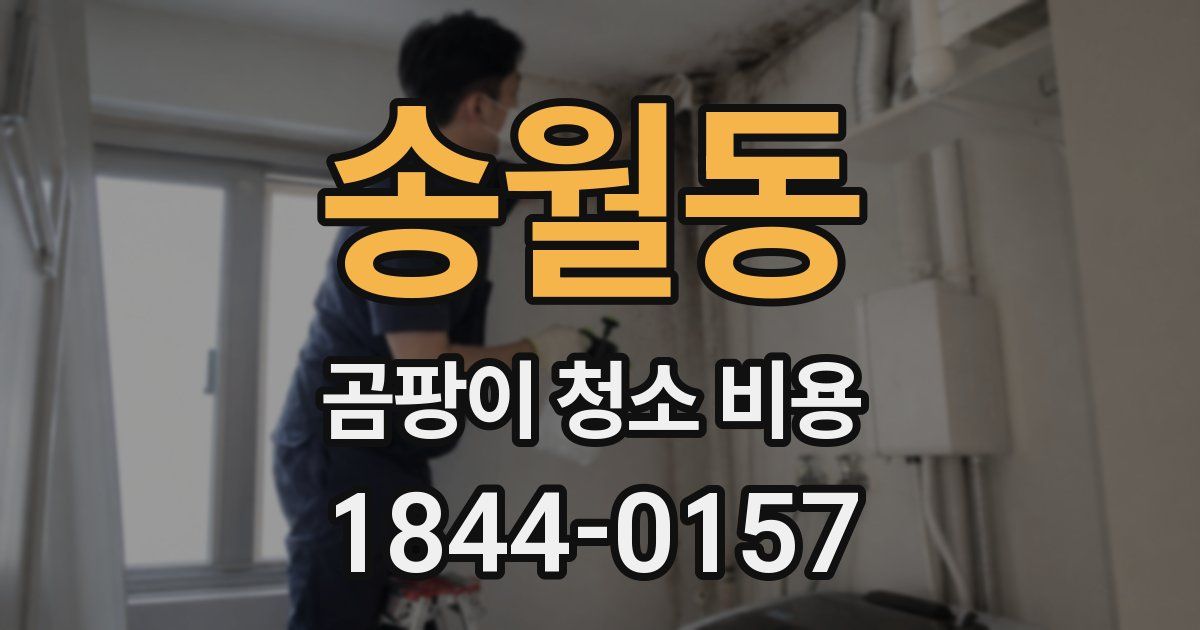송월동 곰팡이 청소 비용