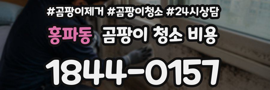 홍파동 곰팡이 청소 비용