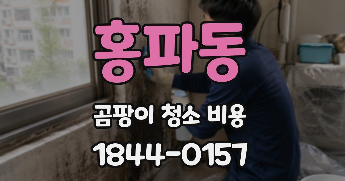 홍파동 곰팡이 청소 비용