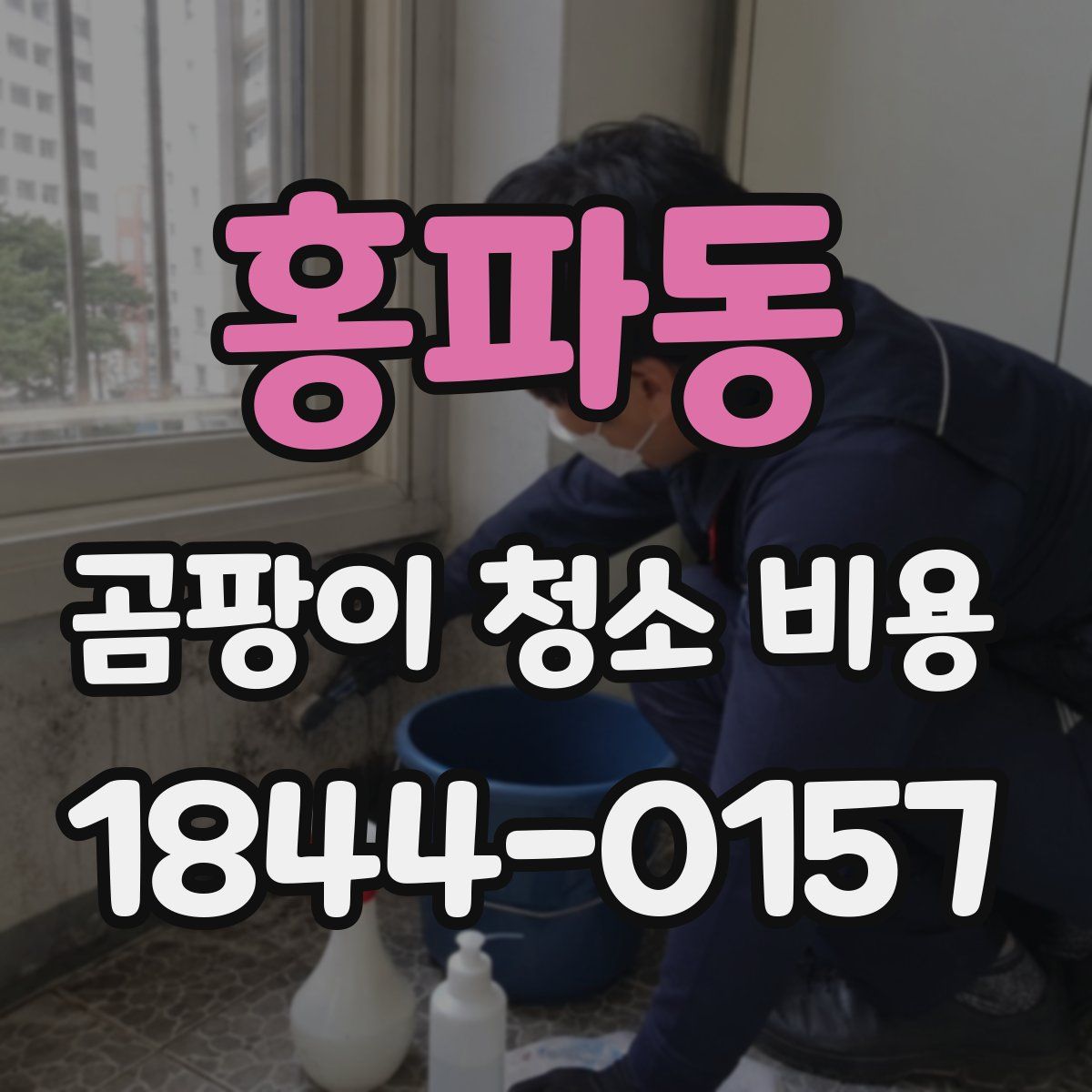 홍파동 곰팡이 청소 비용