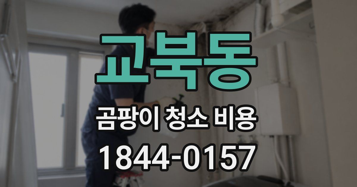 교북동 곰팡이 청소 비용