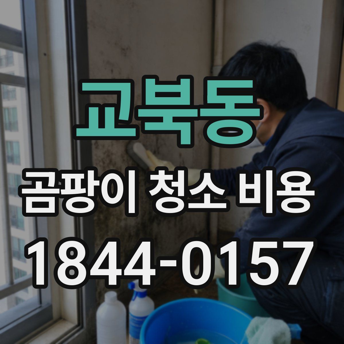교북동 곰팡이 청소 비용