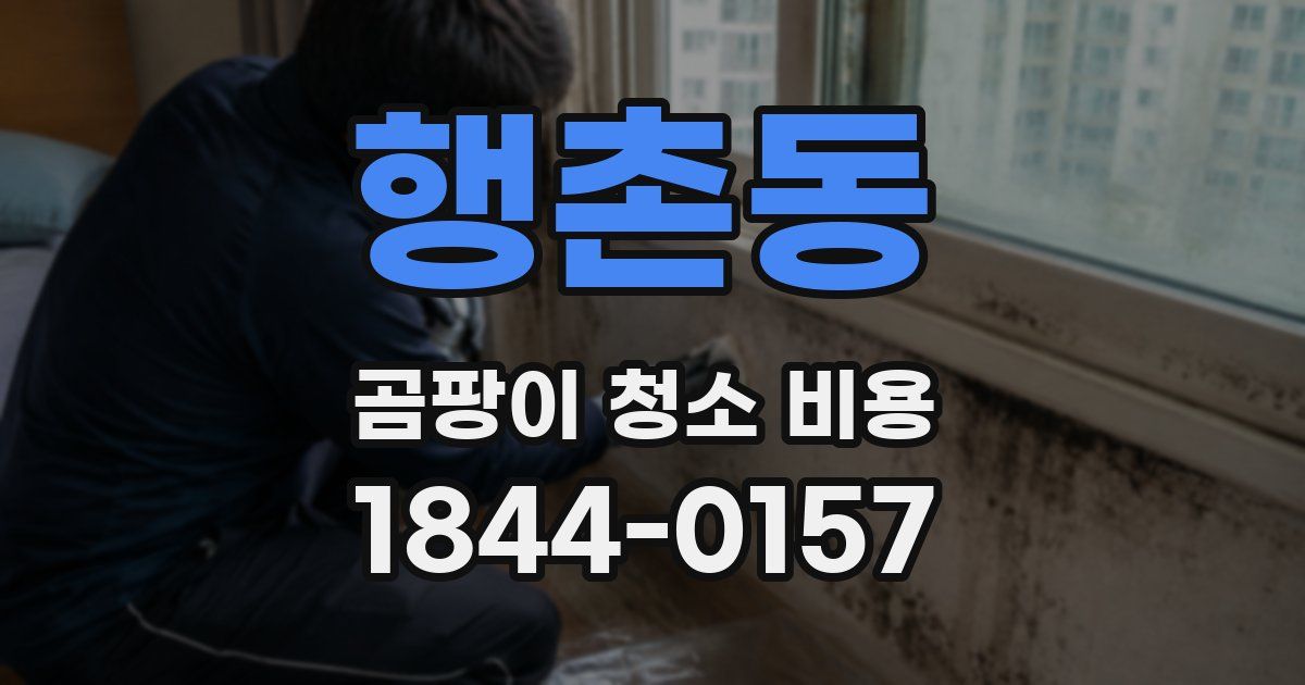 행촌동 곰팡이 청소 비용