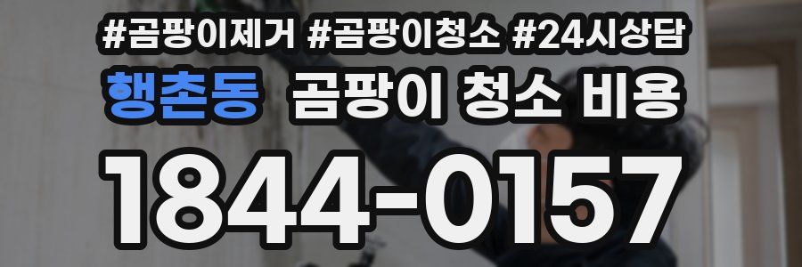 행촌동 곰팡이 청소 비용