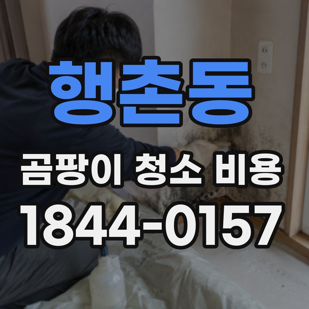 행촌동 곰팡이 청소 비용